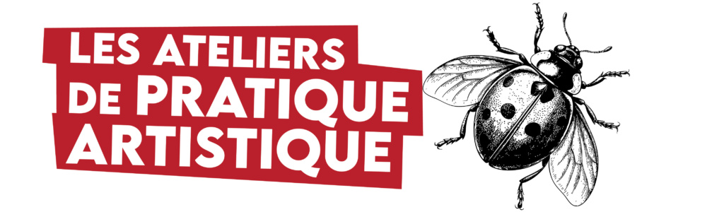 de pratique artistique